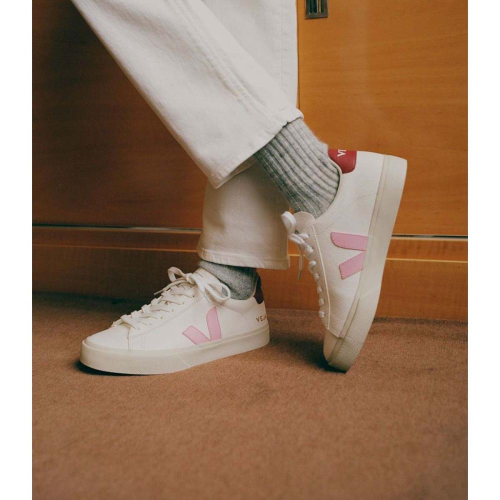 White/Pink Men's Veja CAMPO CHROMEFREE Low Tops Sneakers | AU 293YXF